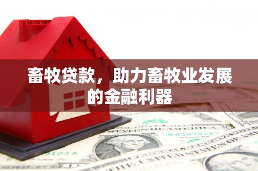 南港畜牧贷款，助力畜牧业发展的金融利器