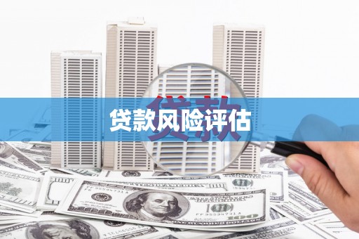 南港贷款风险评估