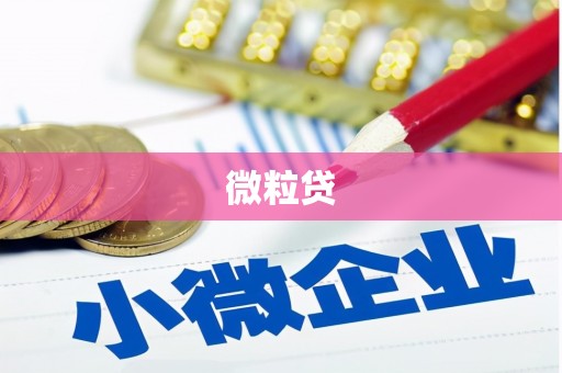 南港微粒贷