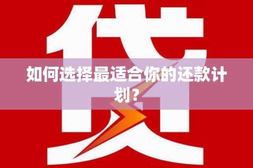 南港如何选择最适合你的还款计划？
