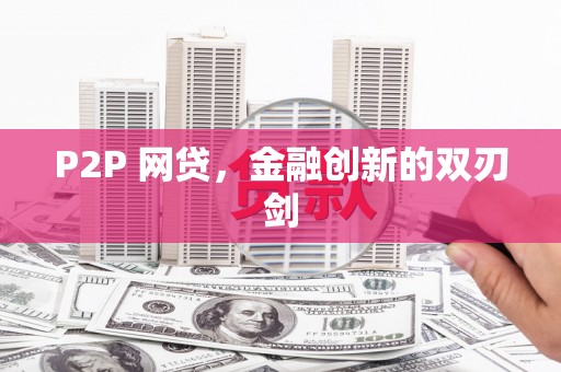 南港P2P 网贷，金融创新的双刃剑