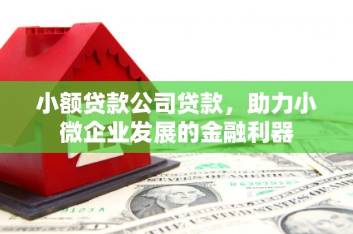 南港小额贷款公司贷款，助力小微企业发展的金融利器