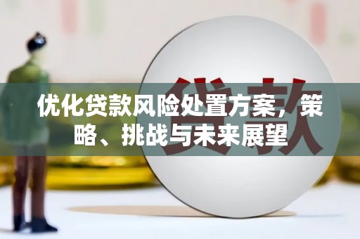 南港优化贷款风险处置方案，策略、挑战与未来展望