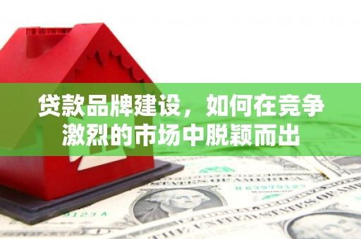 南港贷款品牌建设，如何在竞争激烈的市场中脱颖而出