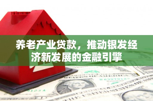 南港养老产业贷款，推动银发经济新发展的金融引擎