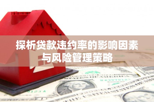 南港探析贷款违约率的影响因素与风险管理策略