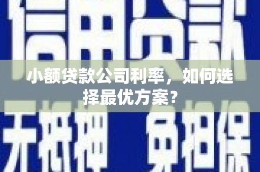 南港小额贷款公司利率，如何选择最优方案？