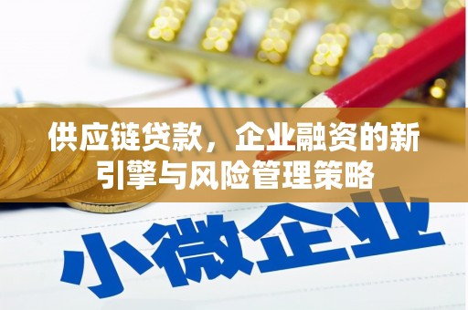 南港供应链贷款，企业融资的新引擎与风险管理策略