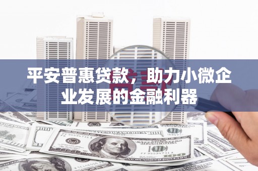 南港平安普惠贷款，助力小微企业发展的金融利器