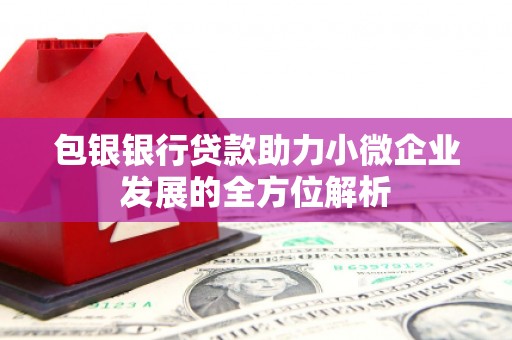 南港包银银行贷款助力小微企业发展的全方位解析
