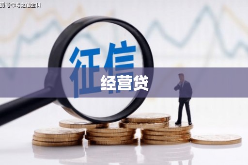 南港经营贷