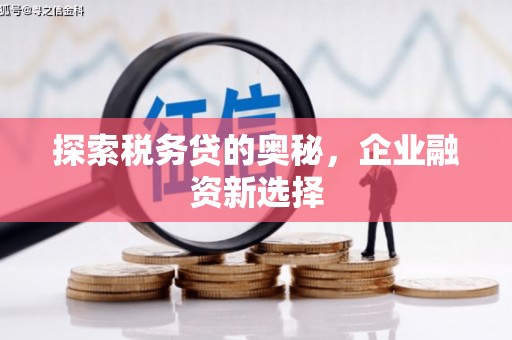 南港探索税务贷的奥秘，企业融资新选择