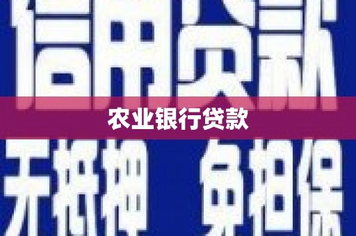 南港农业银行贷款