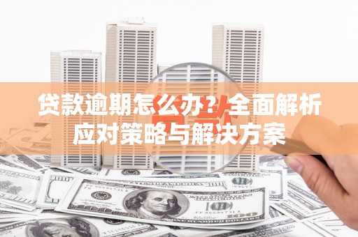 南港贷款逾期怎么办？全面解析应对策略与解决方案