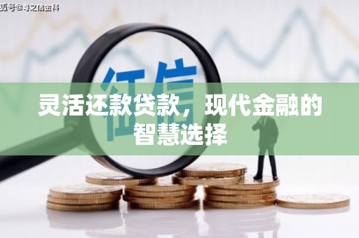 南港灵活还款贷款，现代金融的智慧选择