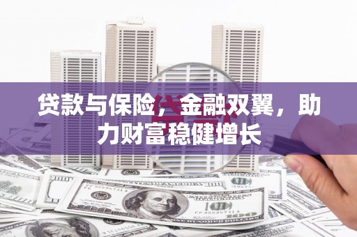 南港贷款与保险，金融双翼，助力财富稳健增长