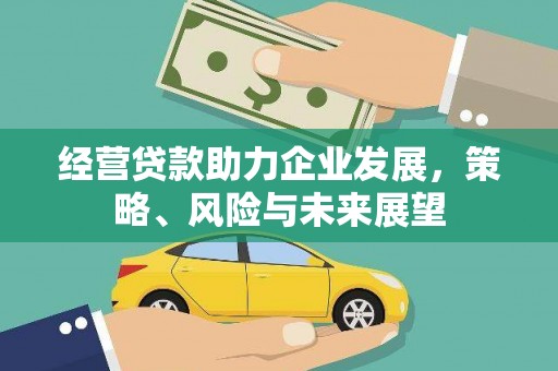 南港经营贷款助力企业发展，策略、风险与未来展望