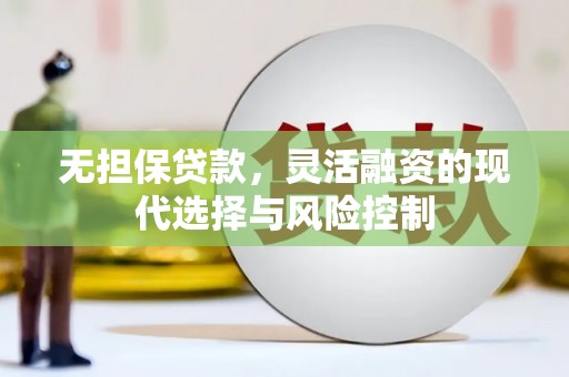 南港无担保贷款，灵活融资的现代选择与风险控制
