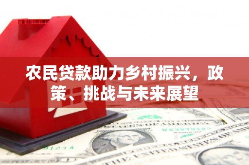 南港农民贷款助力乡村振兴，政策、挑战与未来展望
