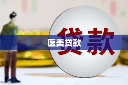 南港医美贷款