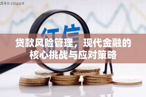 南港贷款风险管理，现代金融的核心挑战与应对策略
