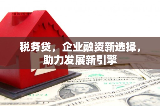 南港税务贷，企业融资新选择，助力发展新引擎