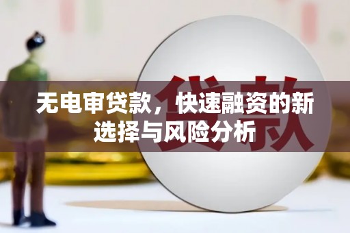南港无电审贷款，快速融资的新选择与风险分析