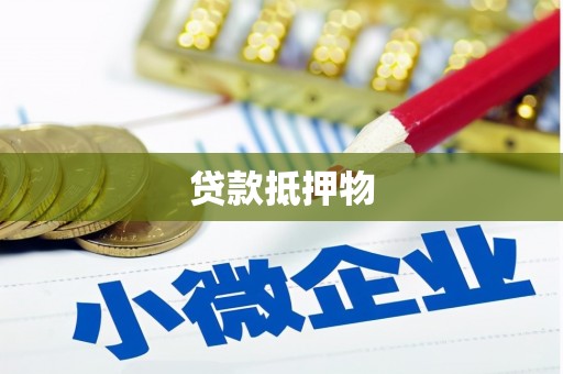 南港贷款抵押物