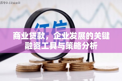 南港商业贷款，企业发展的关键融资工具与策略分析
