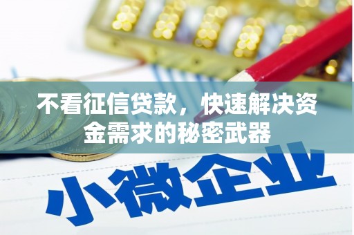 南港不看征信贷款，快速解决资金需求的秘密武器