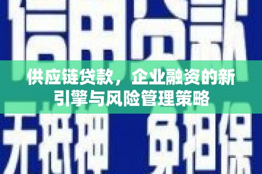 南港供应链贷款，企业融资的新引擎与风险管理策略