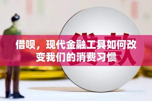 南港借呗，现代金融工具如何改变我们的消费习惯