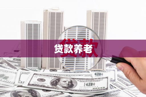 南港贷款养老