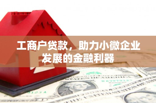 南港工商户贷款，助力小微企业发展的金融利器