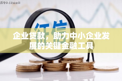 南港企业贷款，助力中小企业发展的关键金融工具