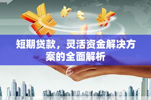 南港短期贷款，灵活资金解决方案的全面解析