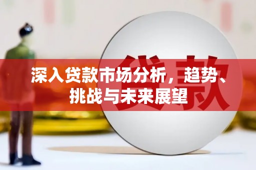 南港深入贷款市场分析，趋势、挑战与未来展望
