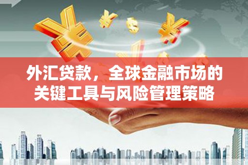 南港外汇贷款，全球金融市场的关键工具与风险管理策略