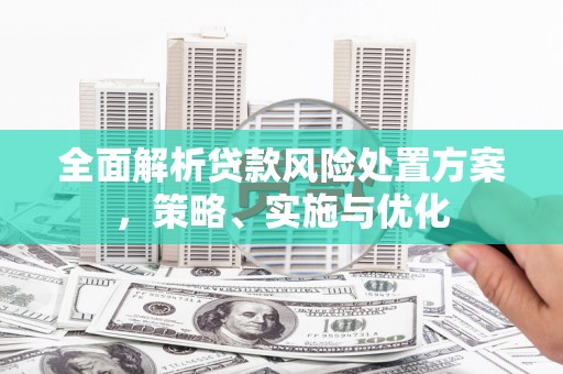南港全面解析贷款风险处置方案，策略、实施与优化