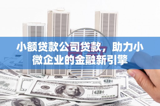 南港小额贷款公司贷款，助力小微企业的金融新引擎