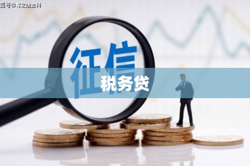 南港税务贷