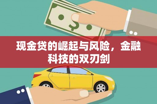 南港现金贷的崛起与风险，金融科技的双刃剑