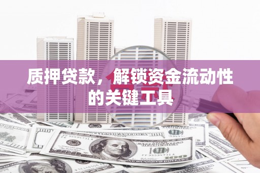 南港质押贷款，解锁资金流动性的关键工具