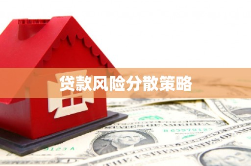 南港贷款风险分散策略