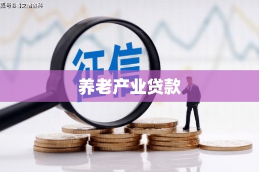南港养老产业贷款