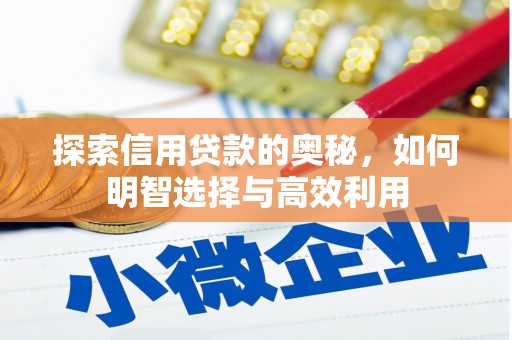 南港探索信用贷款的奥秘，如何明智选择与高效利用