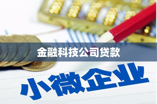 南港金融科技公司贷款