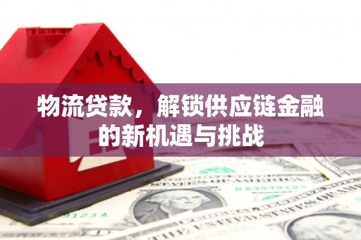南港物流贷款，解锁供应链金融的新机遇与挑战