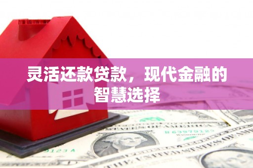 南港灵活还款贷款，现代金融的智慧选择