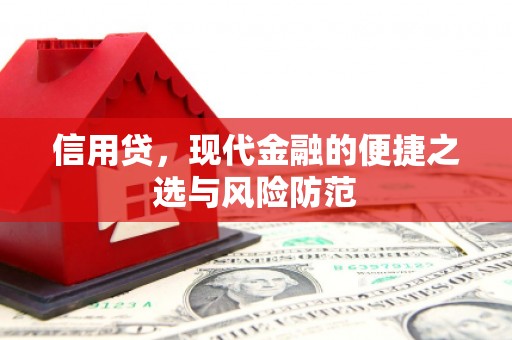 南港信用贷，现代金融的便捷之选与风险防范